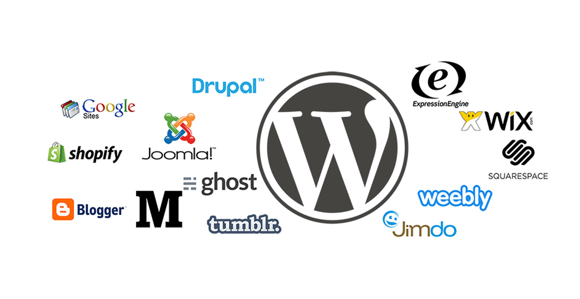 WordPress Development